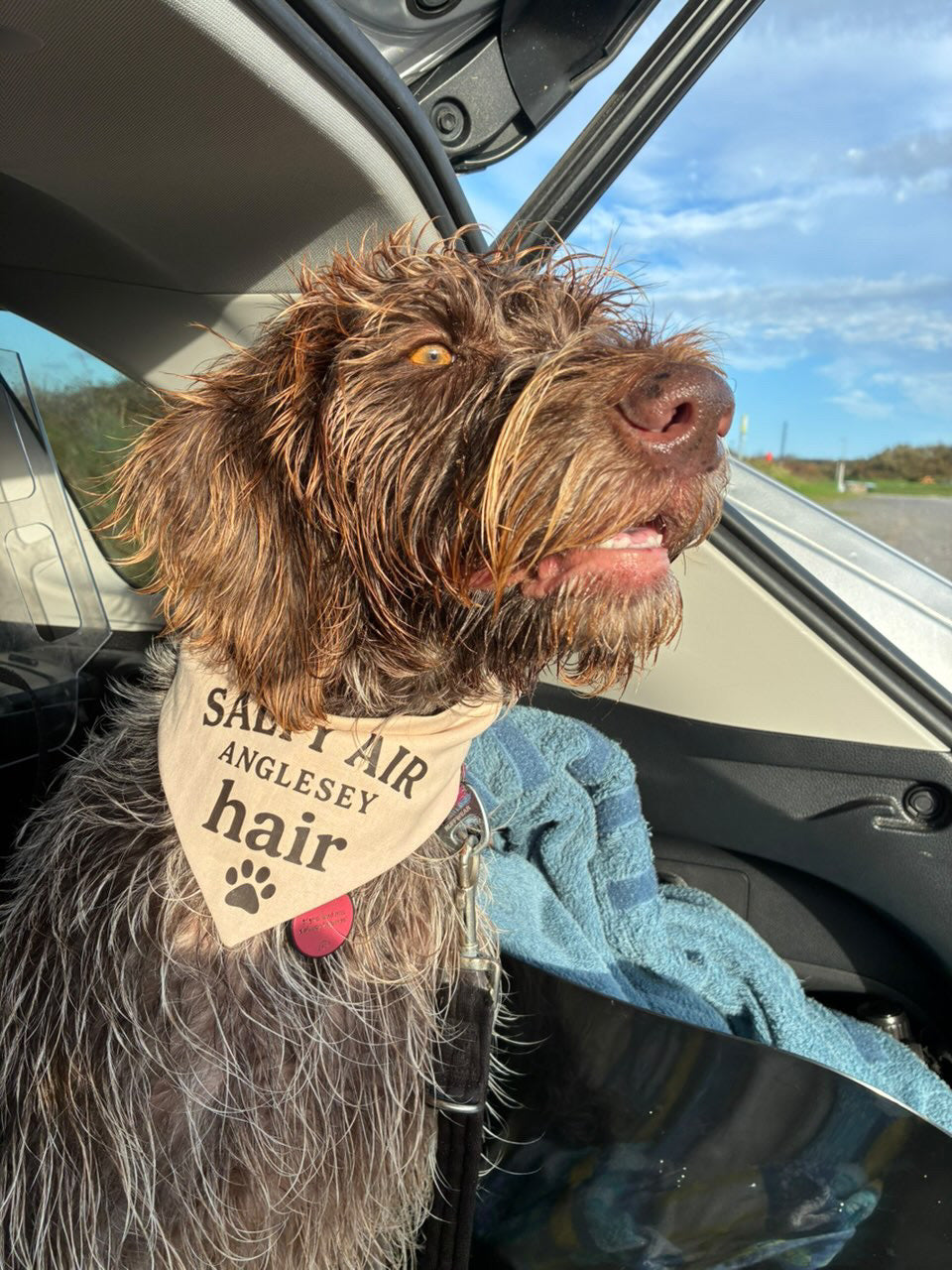 Handmade in the UK - Salty air, Anglesey hair Dog Bandanas in Almond š¾
