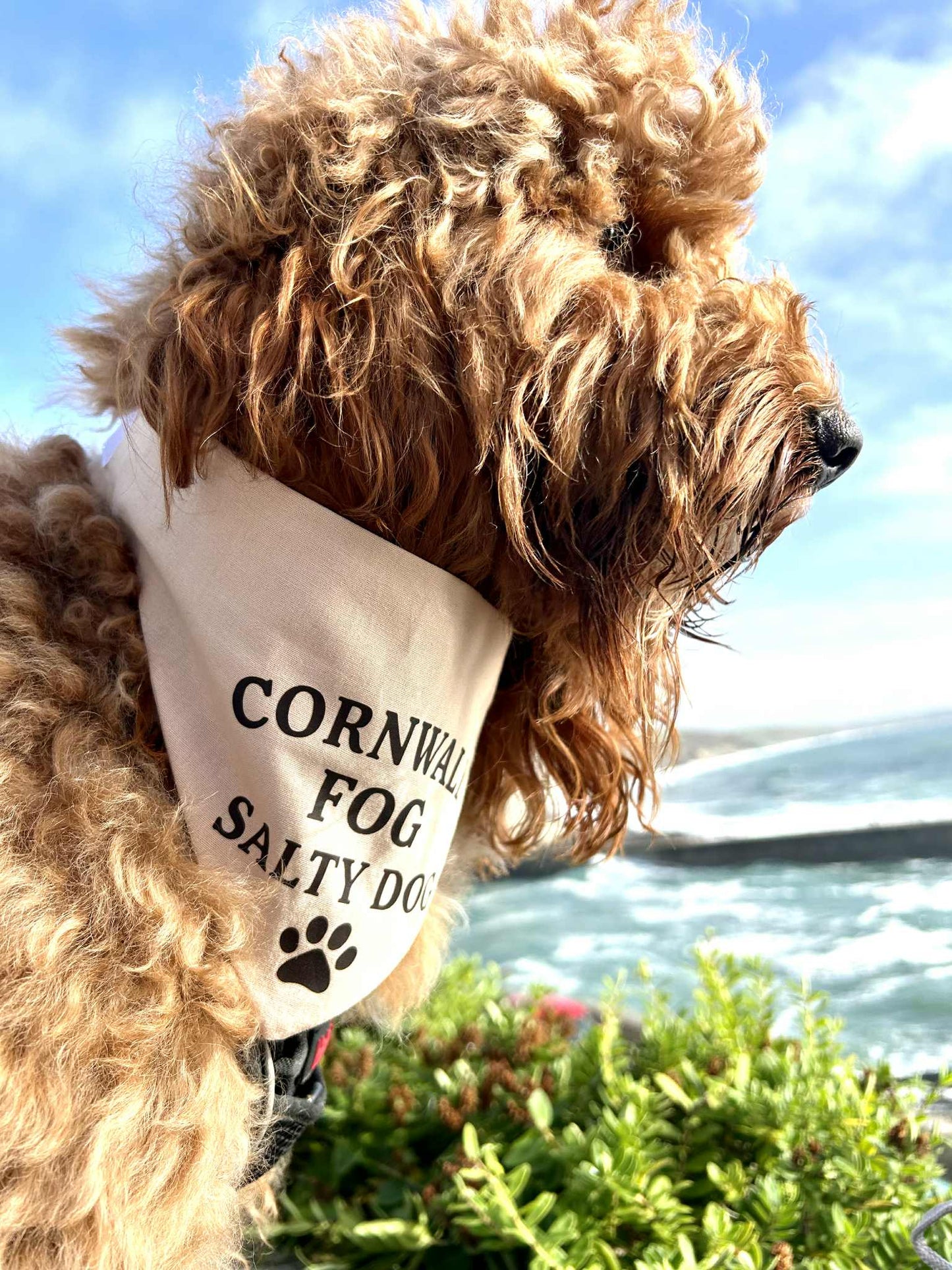 Handmade in the UK - Cornwall Fog, Salty Dog Bandana in Almond
