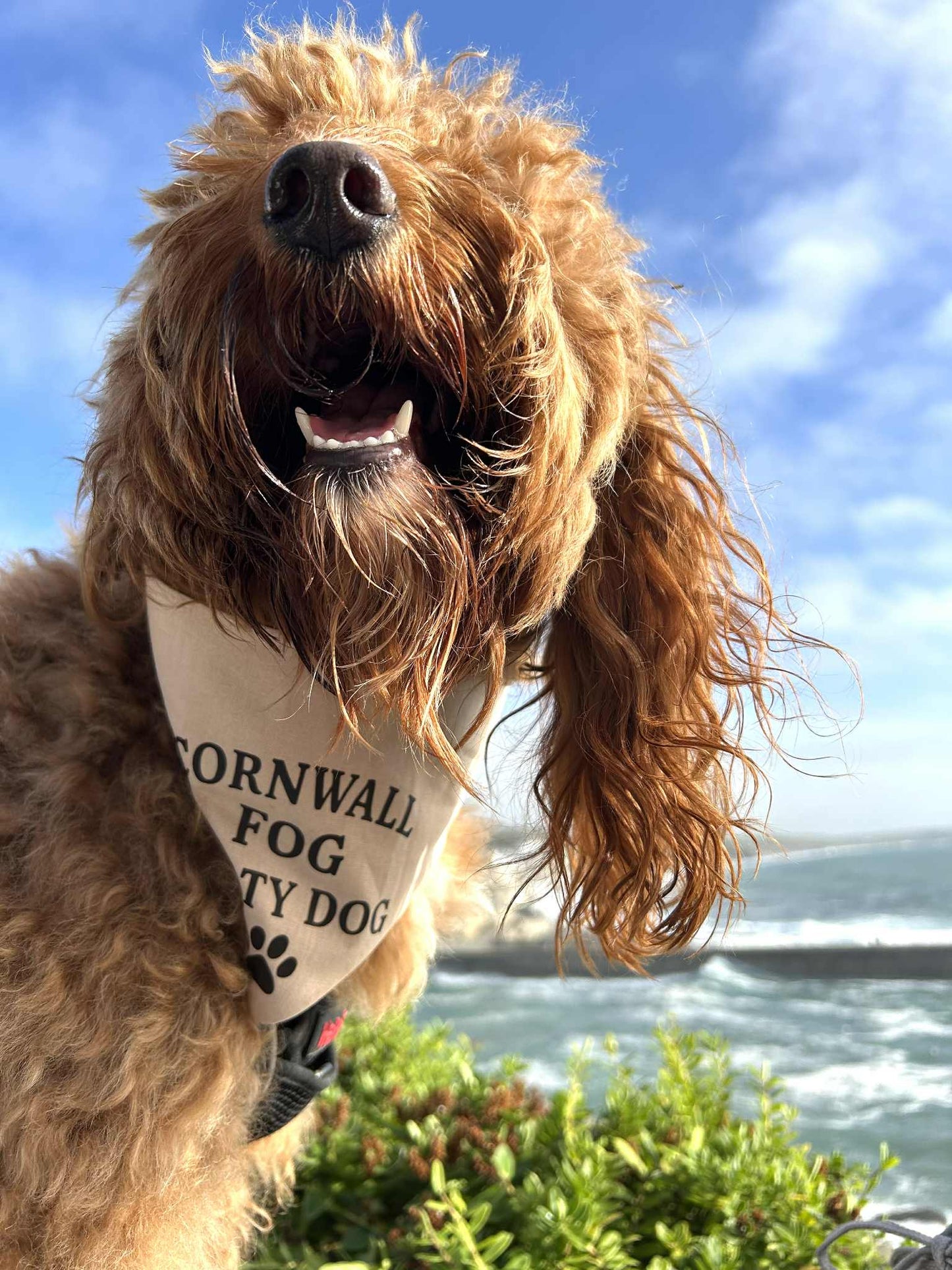 Handmade in the UK - Cornwall Fog, Salty Dog Bandana in Almond